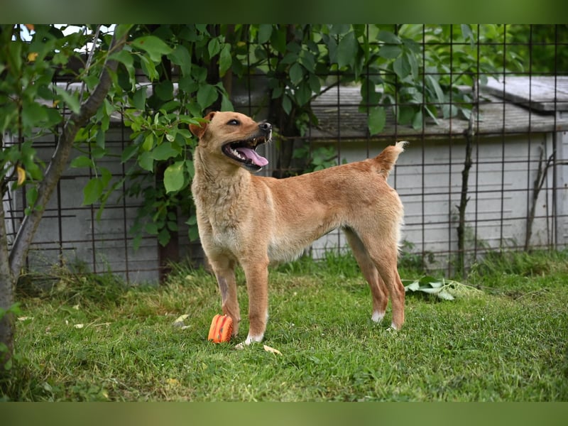 Lidija sucht ein Zuhause