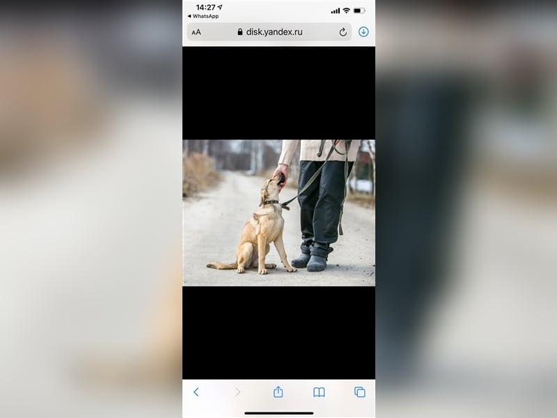 SANDY- ffreundliches Mädchen sucht liebevolle Familie
