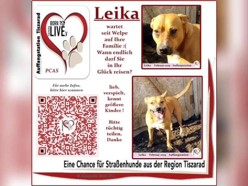 Leika