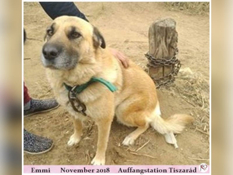 Emmi