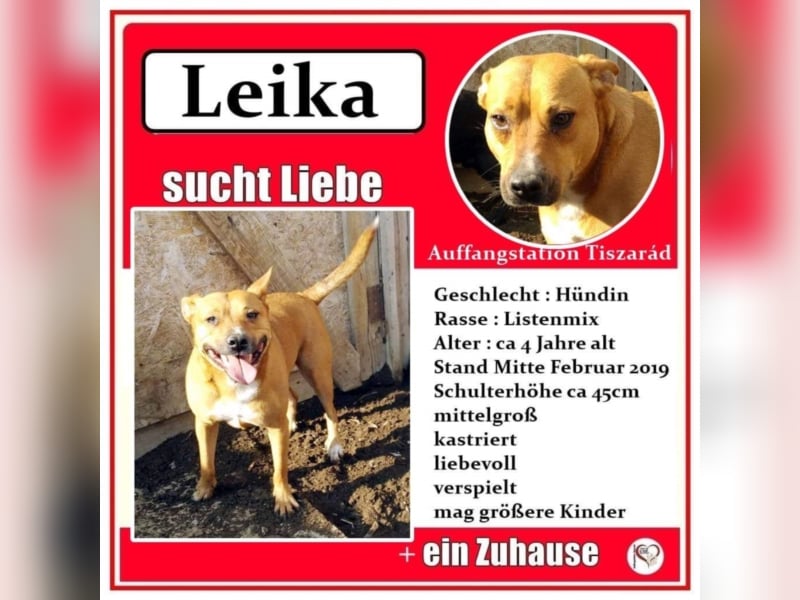 Leika