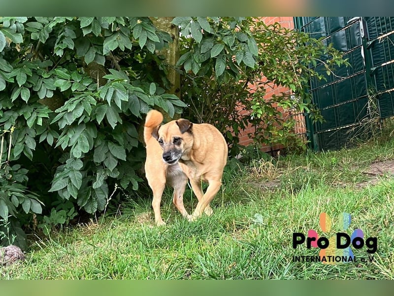 BELLA sucht ihr Glückskörbchen