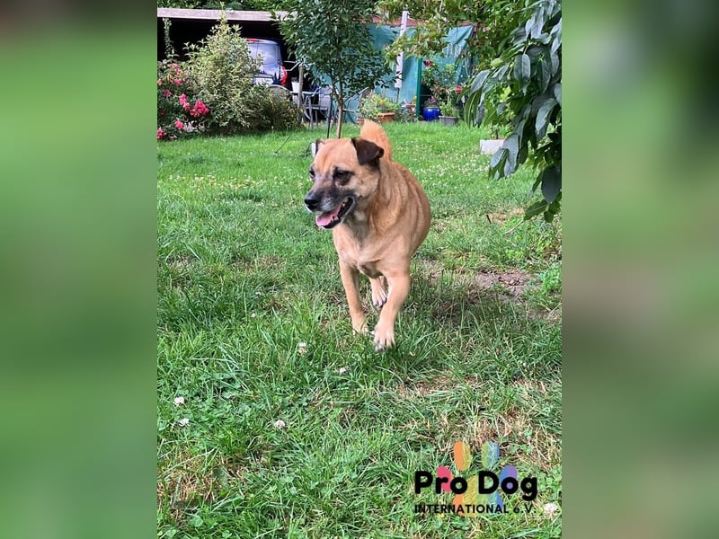 BELLA sucht ihr Glückskörbchen