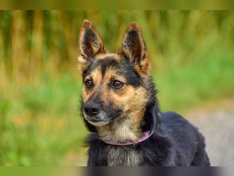 Olivia S278 ist sanft und zärtlich