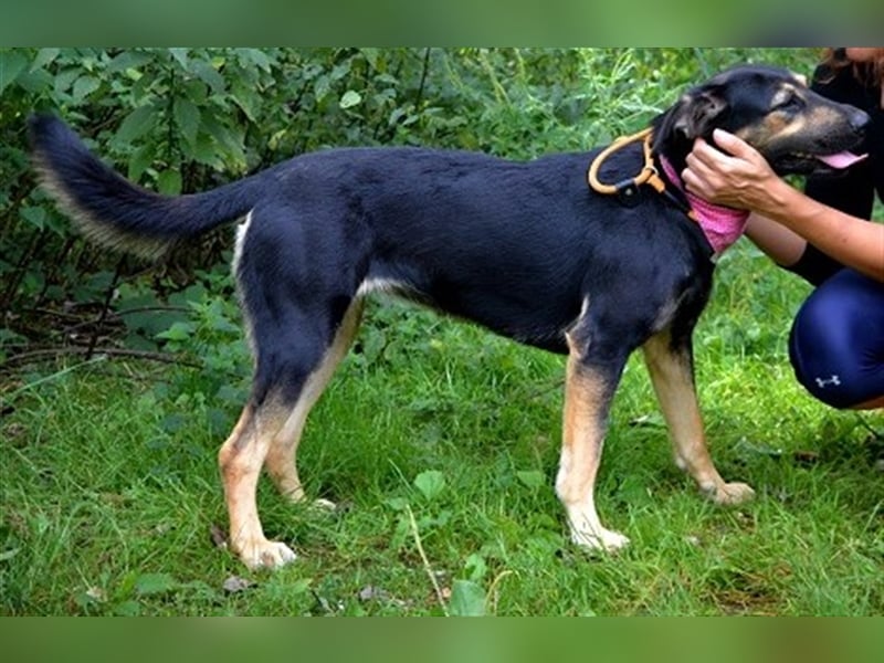 Pepita sucht empathische Menschen