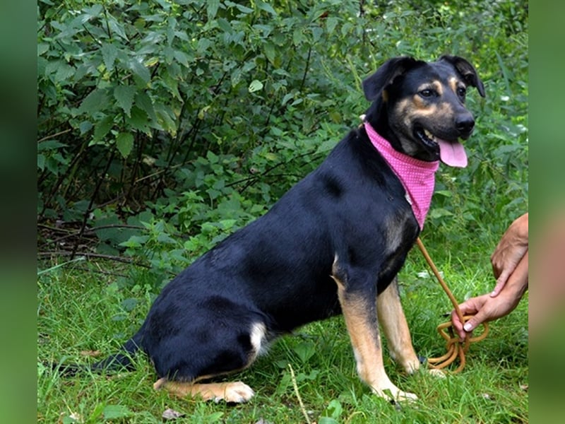 Pepita sucht empathische Menschen