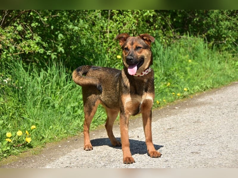 Bessy S262 verbreitet gute Laune und Begeisterung