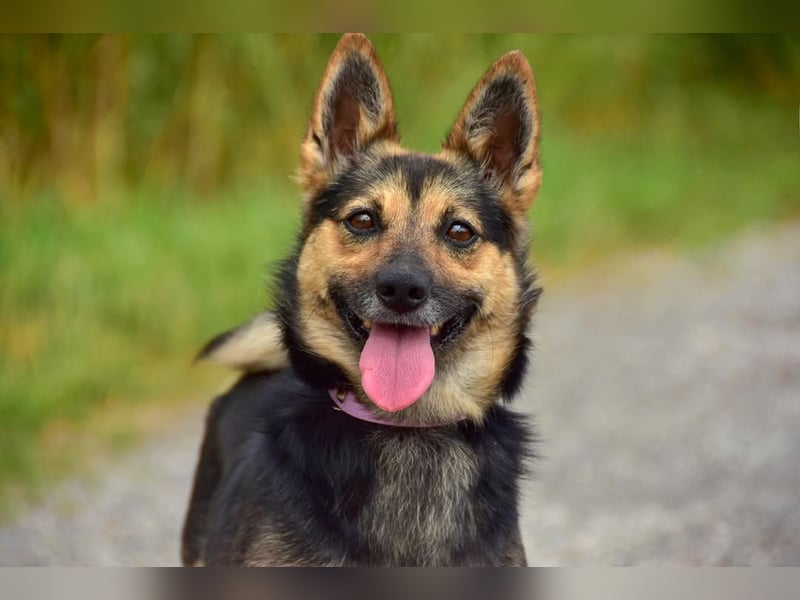 Olivia S278 ist sanft und zärtlich