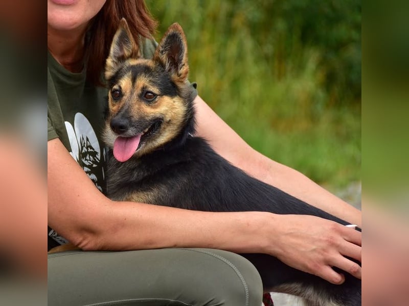 Olivia S278 ist sanft und zärtlich