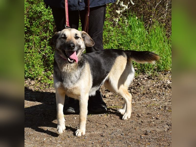 Candy C65 liebt Menschen aus vollem Herzen