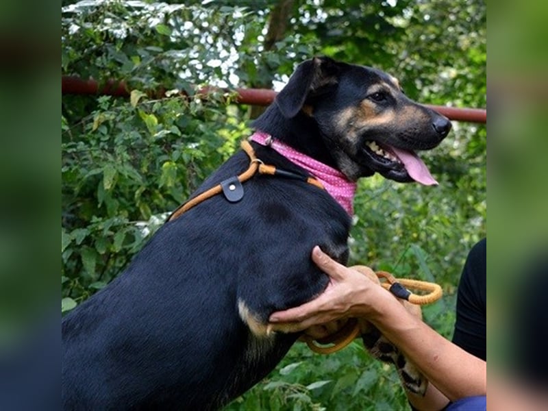 Pepita sucht empathische Menschen