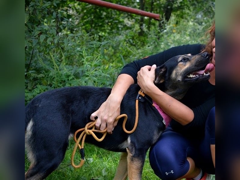 Pepita sucht empathische Menschen