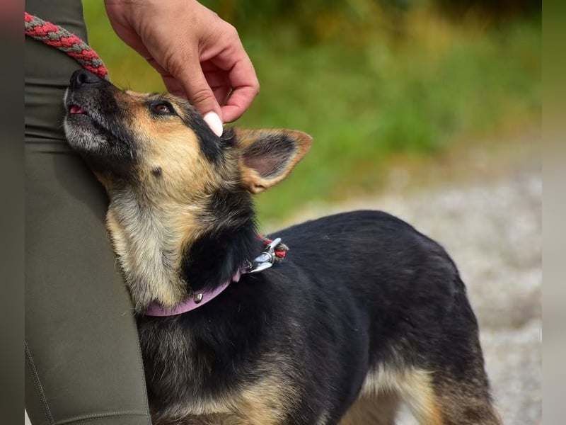 Olivia S278 ist sanft und zärtlich