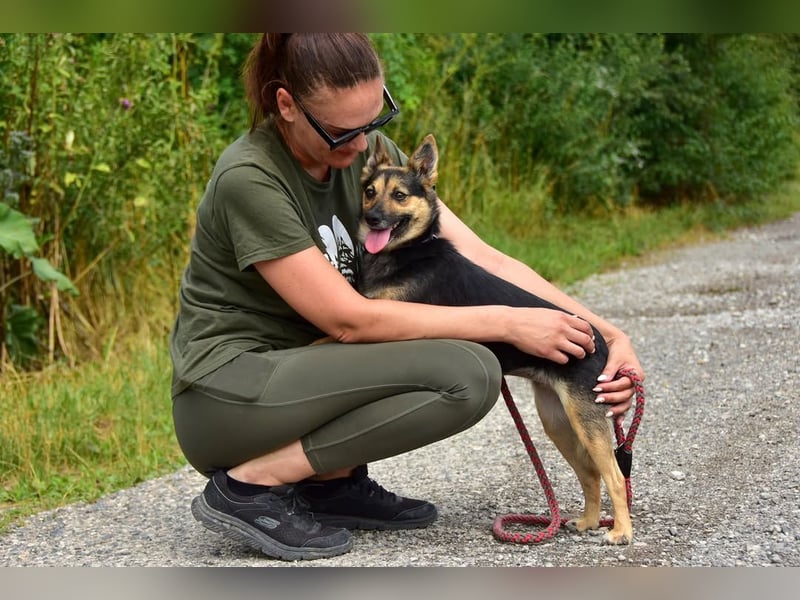 Olivia S278 ist sanft und zärtlich