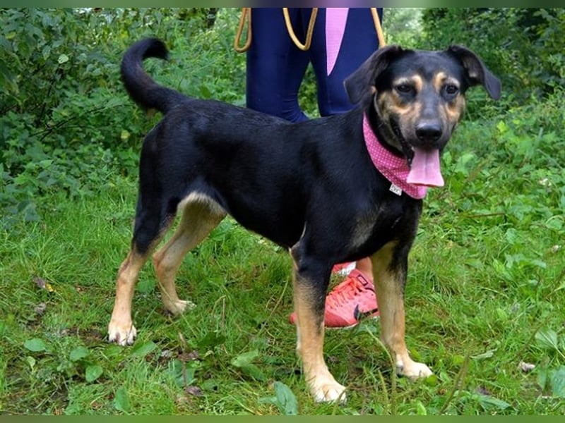 Pepita sucht empathische Menschen