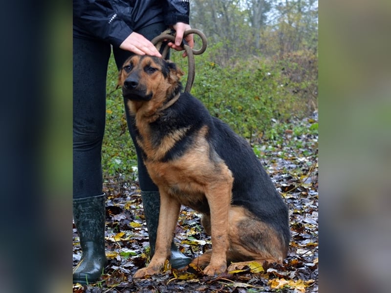 Fibi N31 möchte die Sonnenseite kennenlernen