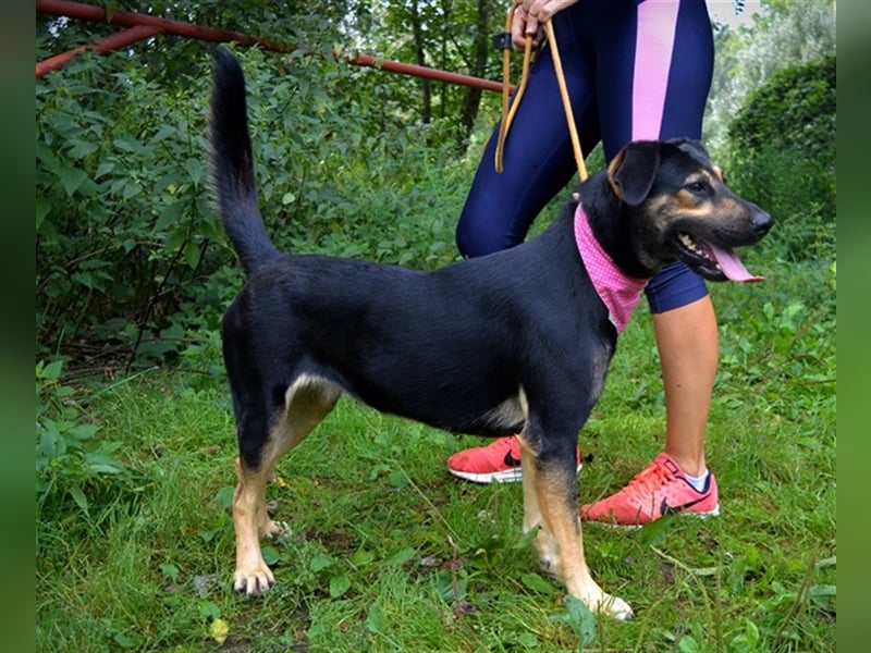 Pepita sucht empathische Menschen