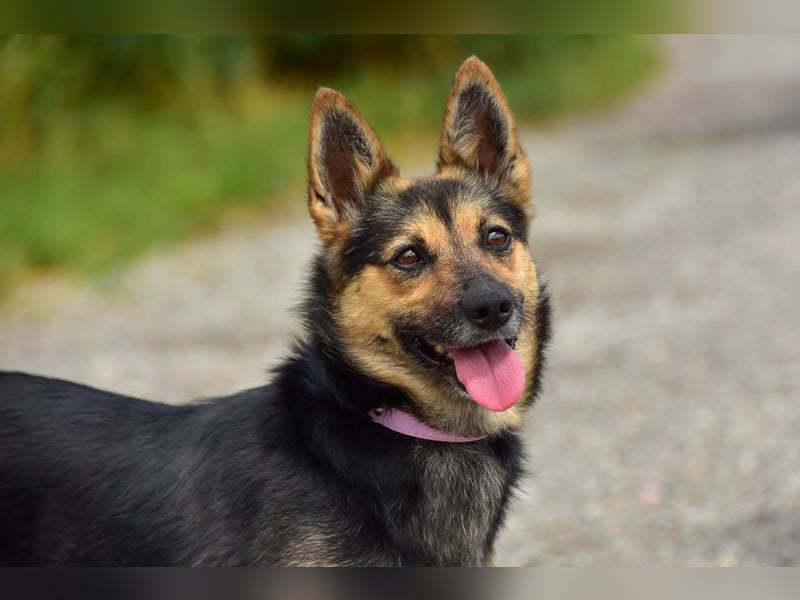 Olivia S278 ist sanft und zärtlich