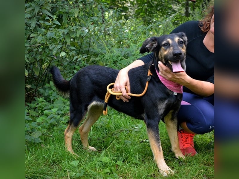 Pepita sucht empathische Menschen