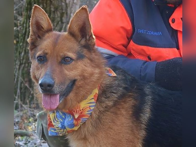 Elsa C58 hat ein großes Herz voller Liebe
