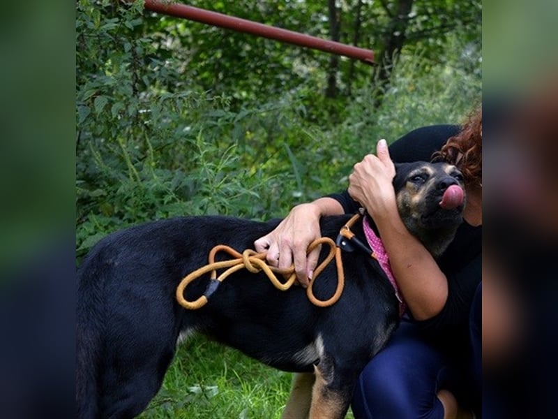 Pepita sucht empathische Menschen