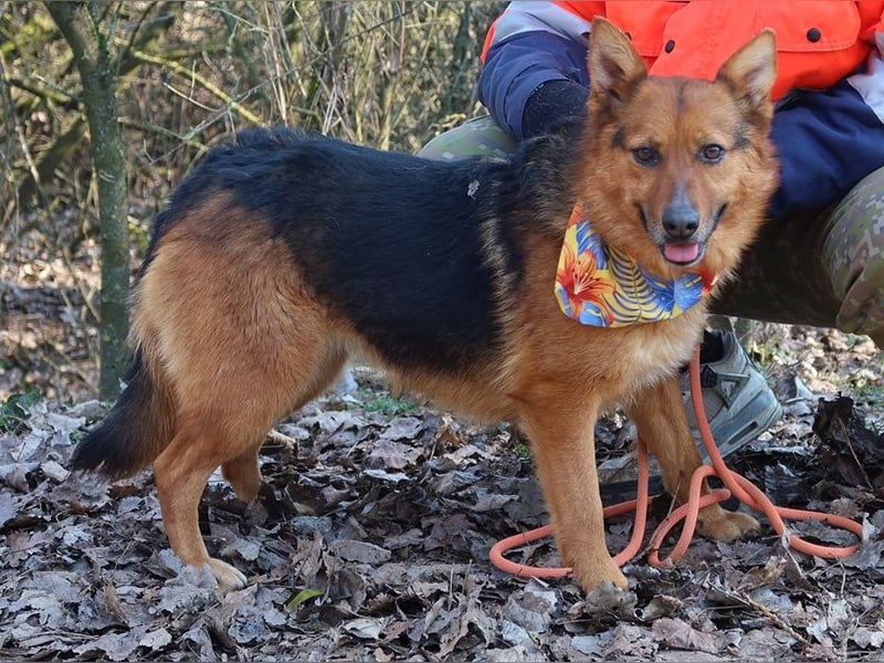 Elsa C58 hat ein großes Herz voller Liebe