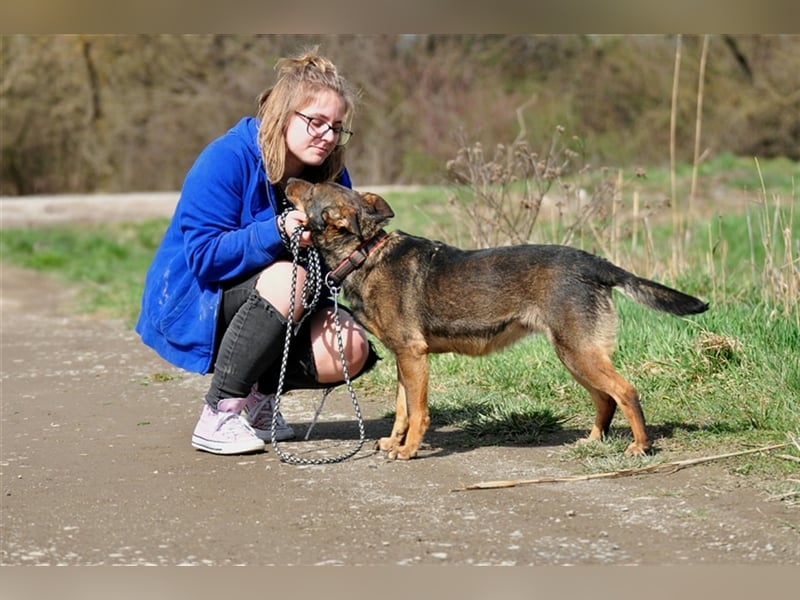 Amelia ist verspielt und aktiv