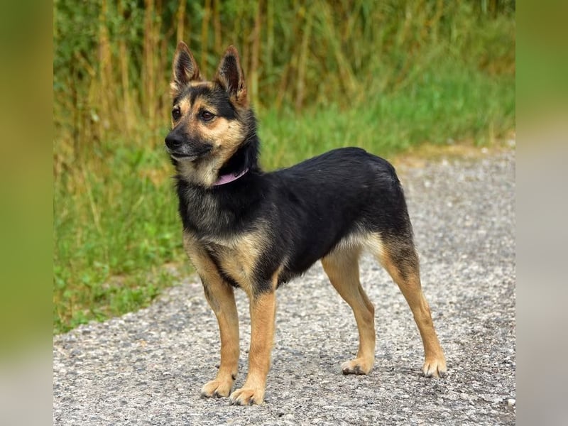 Olivia S278 ist sanft und zärtlich