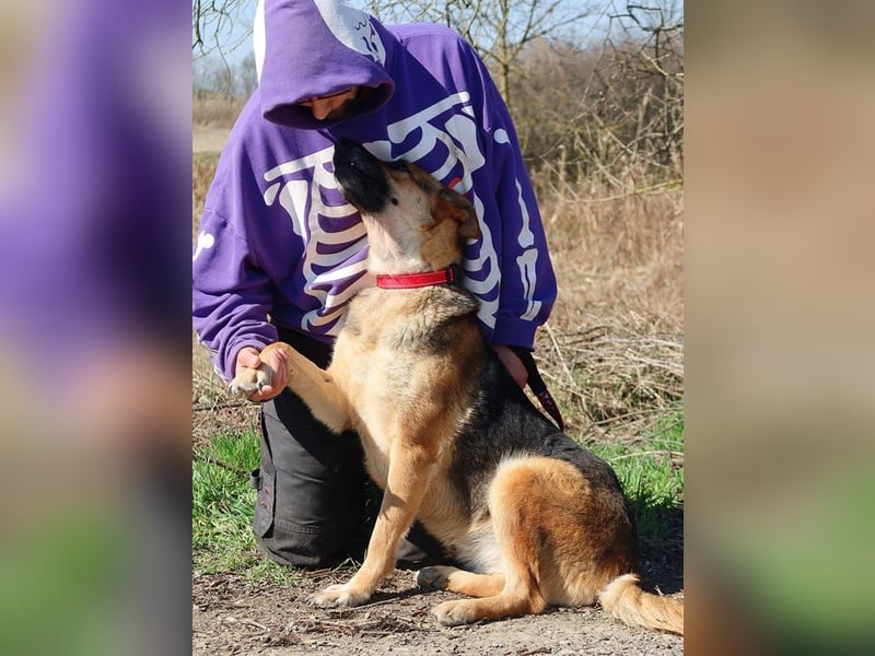 Roxy C59 spielt gerne mit Bällchen