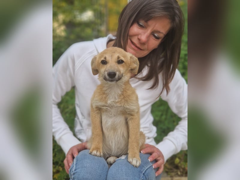 Zoe – so klein, wie knuffig