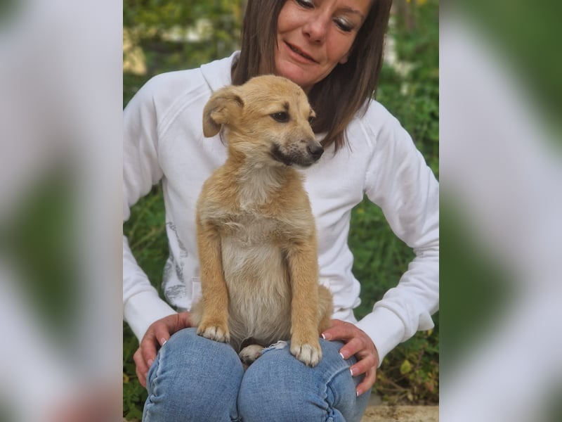 Zoe – so klein, wie knuffig