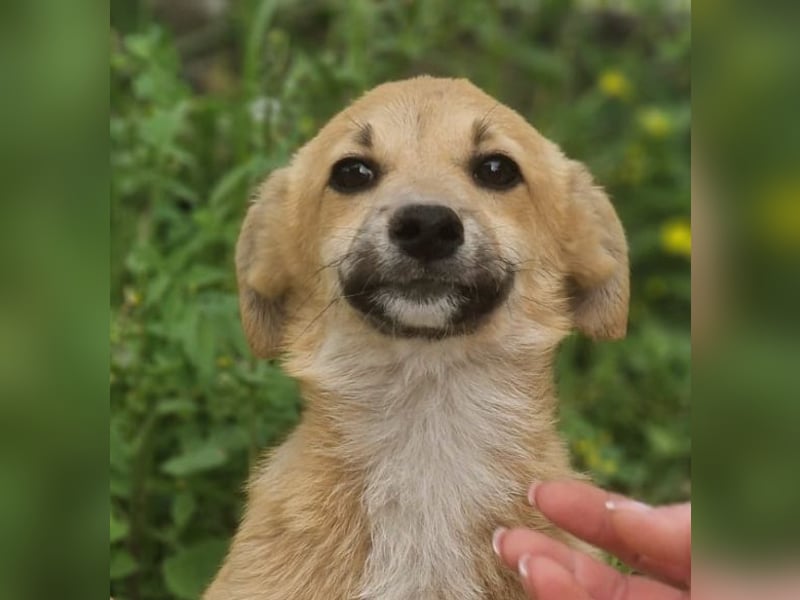 Zoe – so klein, wie knuffig