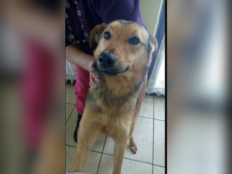 Peggy, die liebe Kuschelmaus sucht euch!  
