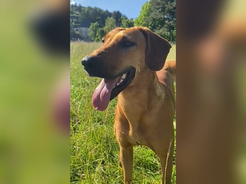 Frida, aktiv, herzlich und bereit für einen Neuanfang