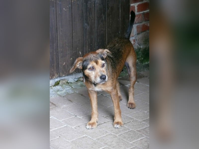 RANA - liebt das Zusammensein mit uns Menschen!