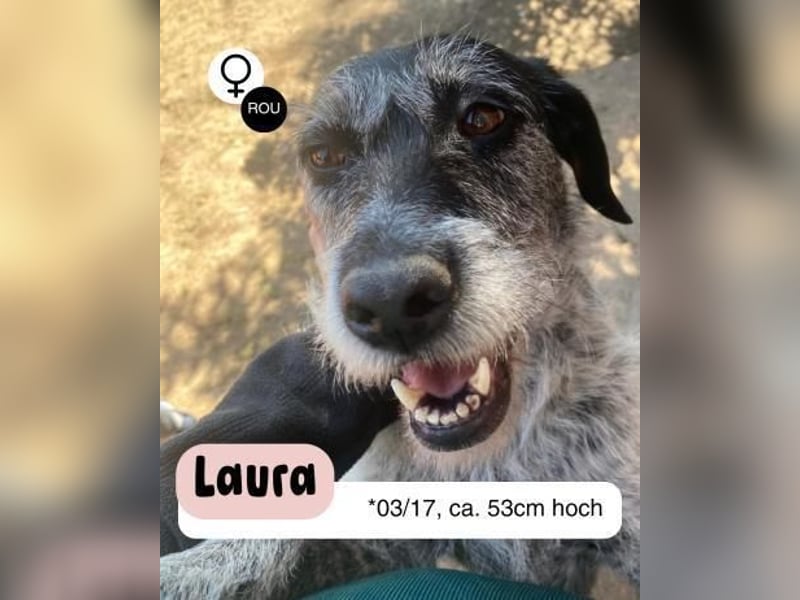 Kuschelige LAURA