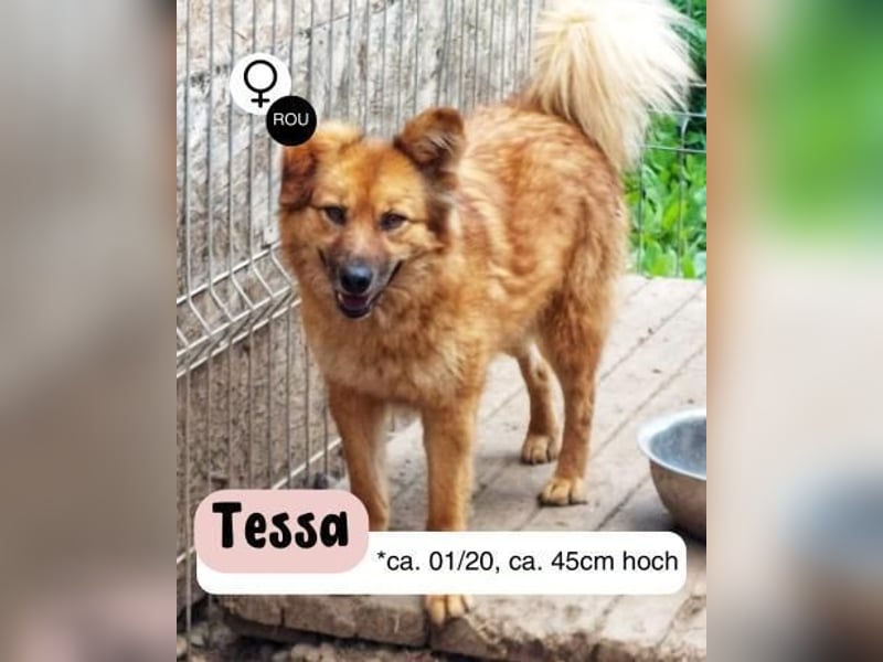 Sanfte Tessa sucht DIch!