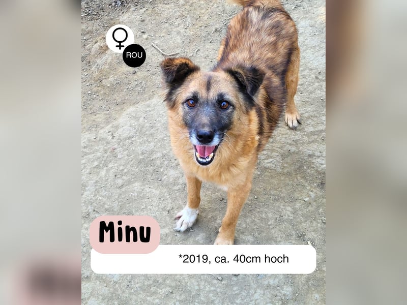 Minu sucht ihr Körbchen