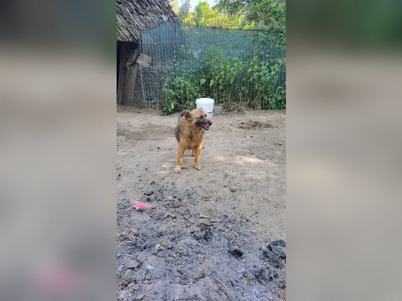 Freudige Minu sucht ihre Familie