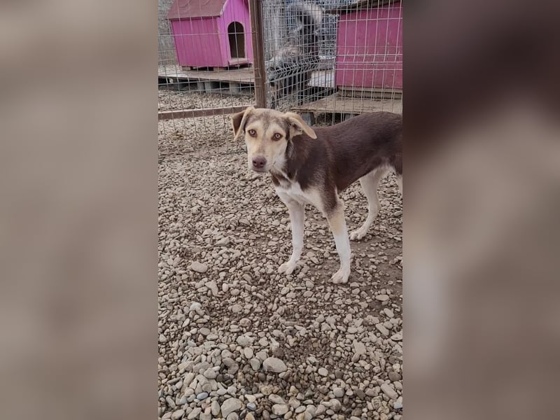 Aika sucht Schulter zum anlehnen