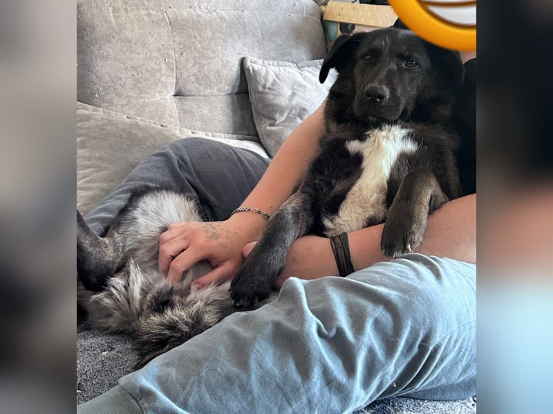 SUNNY Kuschelmaus mit Köpfchen