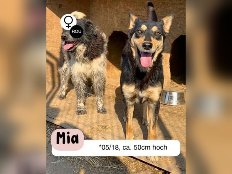 Hübsche MIA