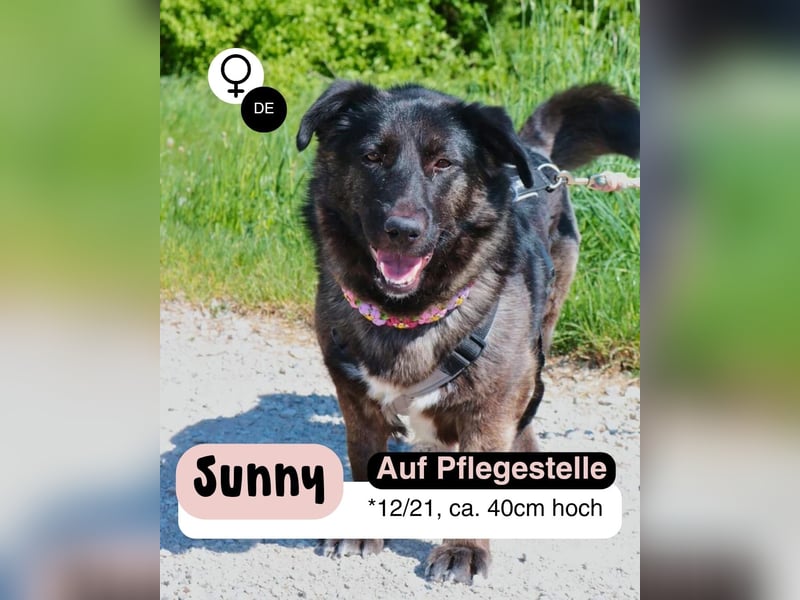 SUNNY Kuschelmaus mit Köpfchen