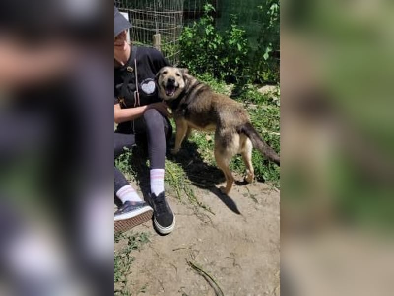 Herzliche Romy möchte endlich ankommen