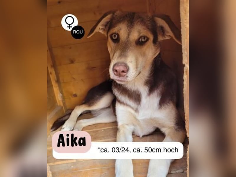 Aika sucht Schulter zum anlehnen