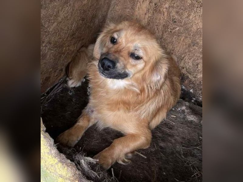 LOTTI 2 wartet auf Rettung