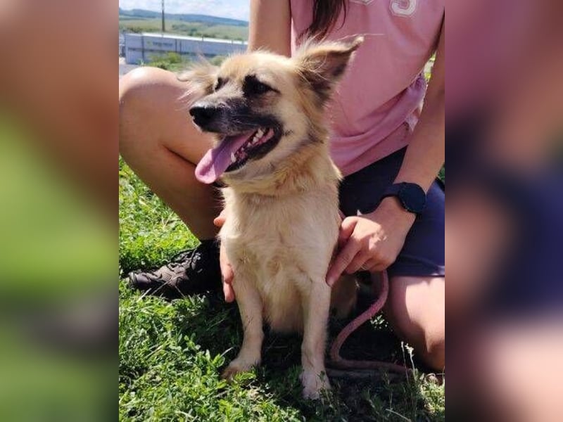 KIKA 2 soll es endlich schön haben