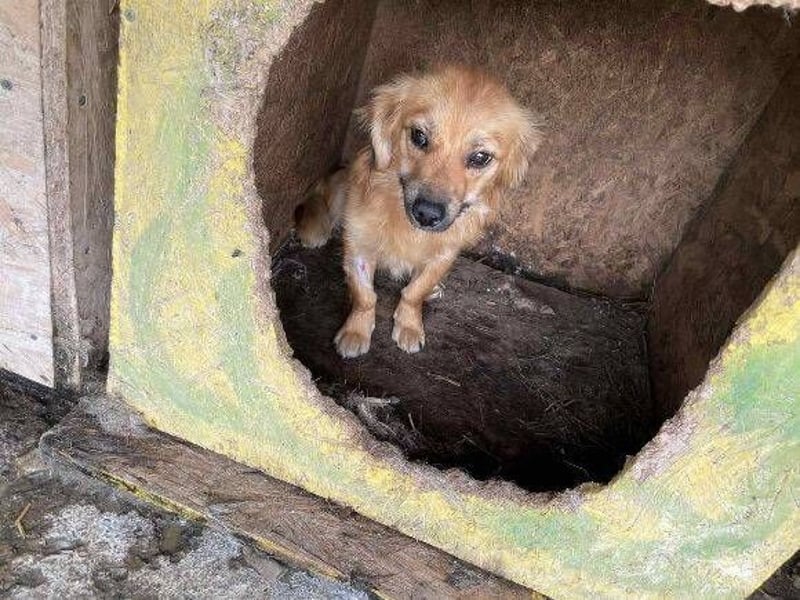 LOTTI 2 wartet auf Rettung