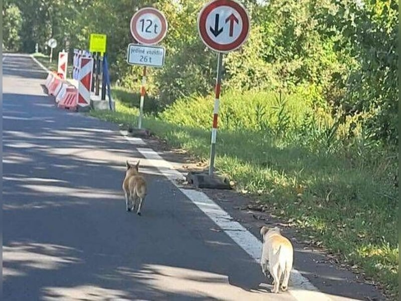 POLLY hatte großes Glück