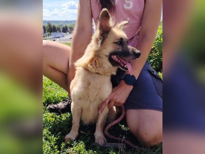KIKA 2 soll es endlich schön haben